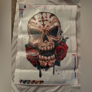 Diamond painting kit skull NWT